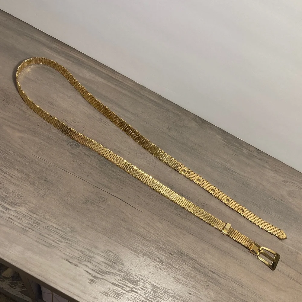 Vintage Retro Glam Serpent Scale Gold Mesh Belt